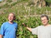 cave "Que Bonheur" sera fermée jeudi mars lundi compris