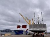 Maman p'tits bateaux...