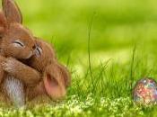 crottes lapin pascal