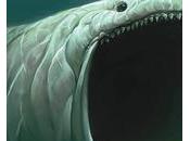 Sénat Côte d’Ivoire institution outil politique