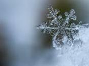 generation snowflake flocon neige