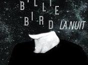 Billie Bird Nuit