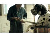 Cannes 2018 Critique Dogman toiletteur bête