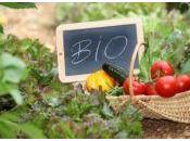 Botanic lance 1ère pour cultiver potager Paris