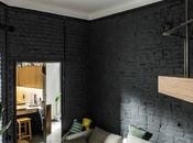 superbe briques noir beaucoup bonnes idées dans appartement