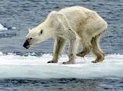 C'était peut être mieux avant, mais c'est certainement maintenant