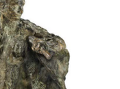 Transmission/Transgression Maîtres élèves dans l’atelier Rodin, Bourdelle, Giacometti, Richier…