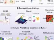 #Cell #cartographiegénétique #tumeurmammaire Cartographie l’échelle d’une cellule unique divers phénotypes immuns dans microenvironnement tumoral mammaire