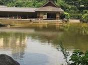 promenade jardin Hinokicho Tokyo