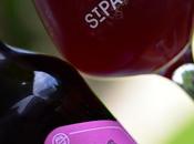 Baie Cachée, bière l'été...