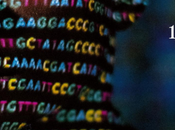 adeptes Morton jetés oubliettes l’Histoire #racisme #altright