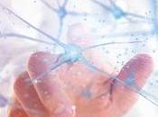 ALZHEIMER nouveaux neurones pour vieux souvenirs
