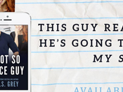 Release Blitz C'est jour pour nice Grey