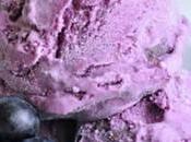 Sorbet myrtilles express thermomix