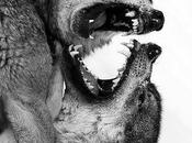 conscience universelle est-elle malade