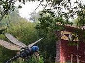 journée Thoiry, épisode