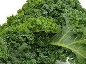 Gratin chou kale tomate viande hachée