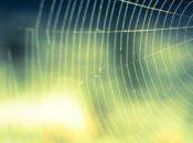 Contradictions françaises développement territoires