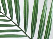 Favoris mois d'Août