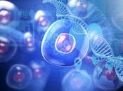 CANCER: Cibler l’hypoxie pour souffler tumeur