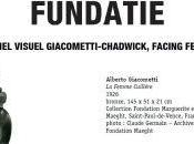 Fondation MAEGHT Giacometti-Chadwick-Facing Fear Museum Fundatie Zwolle 22/O9/2018 Janvier 2019