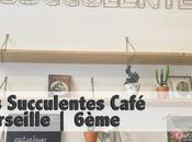 Succulentes café Marseille 6ème