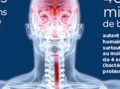 ventre peut être reflet modes vie, agit comme sentinelle