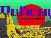 Mudhoney Digital Garbage