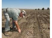 L’Afrique mauvais chemin