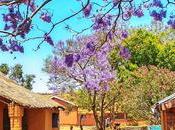 photos 2018 Madagascar