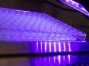 ISO, PLAIES INFECTÉES diodes électroluminescentes contre infections SARM
