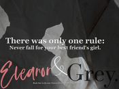 agendas Brittainy Cherry revient avec nouvelle saga 2019 Chance series