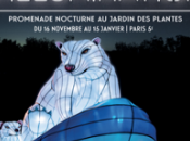 FESTIVAL LUMIÈRES JARDIN PLANTES 16.11.2018 15.01.2019