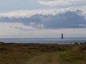 marche dans parole plurielle