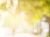 (Alain Damasio) S’il avenir enviable imaginable, c’est dans retour vivant.