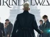 [Critique] ANIMAUX FANTASTIQUES CRIMES GRINDELWALD