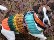 Manteau pour chien avec harnais intégré avantages fonctionnement
