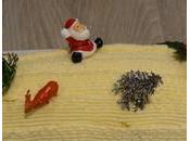 idées bûches sucrées