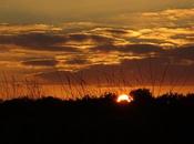 l'école poésie n'apprend