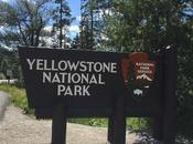 Yellowstone coté nature