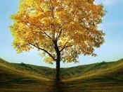 "Cela dépasse tout"