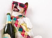 MIGRAINE L’alcool est-il déclencheur