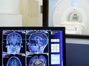 COGNITION cerveaux plus gros sont-ils forcément intelligents