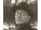 Hermann Hesse Grincements d’une branche tordue