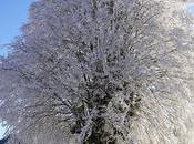 notes jeudi Saison d’hiver Gustav Holst