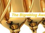 Bigreblog Awards sont (Divers)