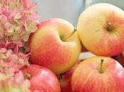 Bien plus qu'un gâteau yaourt...avec pommes caramélisées