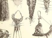 Schlaginhaufen terre l'Empereur Guillaume