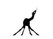 (Poezibao reçu) samedi février 2019