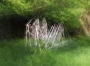 Exposition lueur saisons» Philippe Cadu C-Culturel Henri Desbals